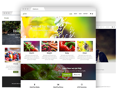 An assortment of fully customizable website themes